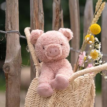 Little Dutch - Knuffel Varken 17cm