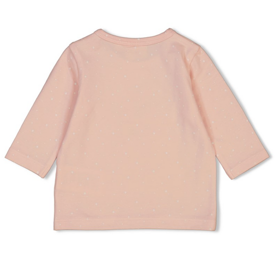 Longsleeve roze - Feetje