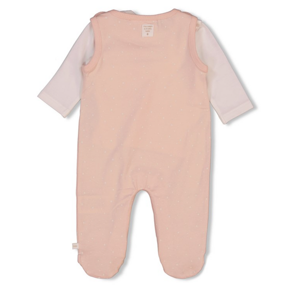 Boxpak roze - Feetje